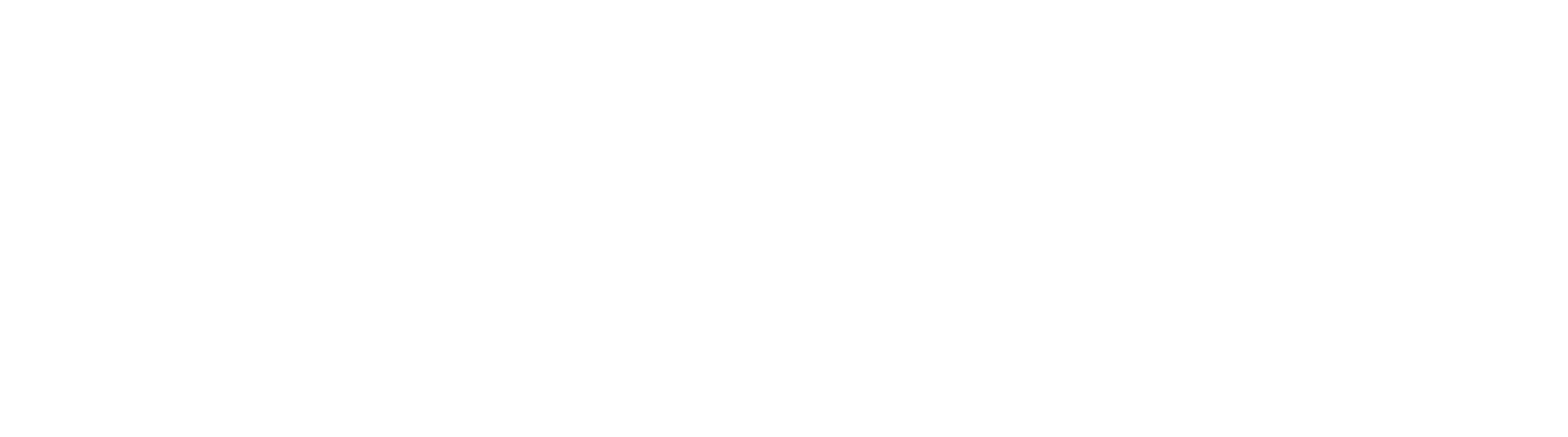 Logo STeM